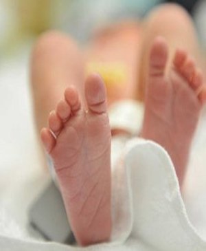 donor eggs travel for ivf donor eggs travel for ivf