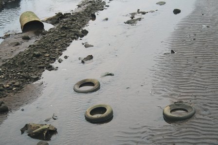 Infertility And Pollution Infertility And Pollution